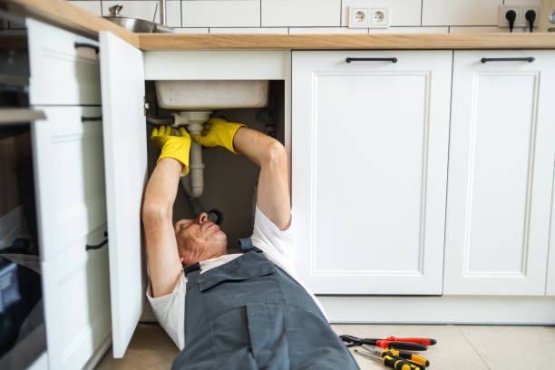 Best Toilet Repair Services  in Evansdale, IA